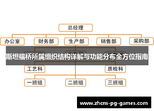 斯坦福桥所属组织结构详解与功能分布全方位指南